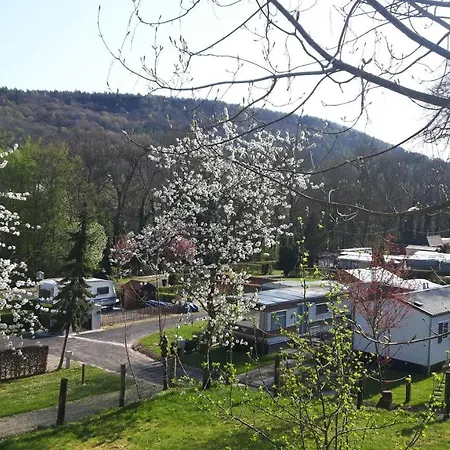 Camping Officiel Wollefsschlucht Echternach-2