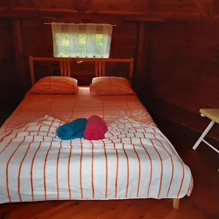 Camping Officiel Wollefsschlucht Echternach-3